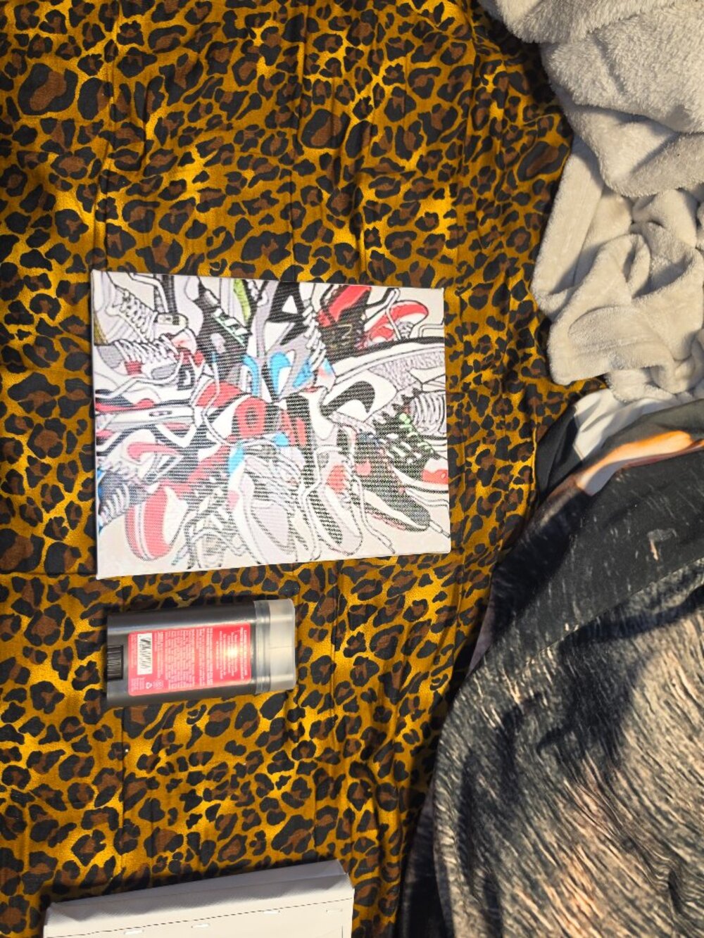 Nike shoes on canvas with wood frame